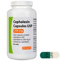 cephalexin dosing