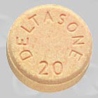 typical prednisone taper dose