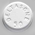 40 mg prednisone low grade fever