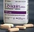 levofloxacin dog dosage