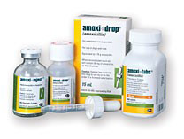 buy amoxicillin 250 mg