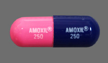 amoxicillin rash